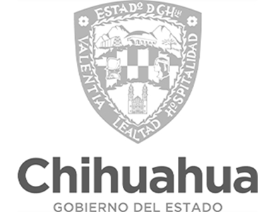 chihuahua-Copy-Copy